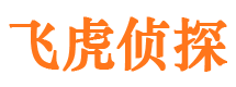 富平市侦探调查公司